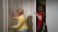 The Partridge Family